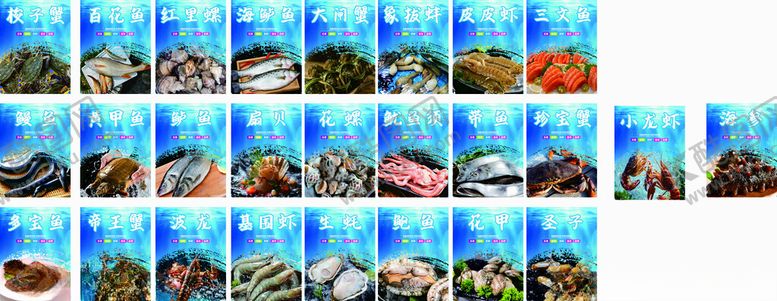 编号：60851804081721539996【酷图网】源文件下载-水产海鲜鱼类灯箱