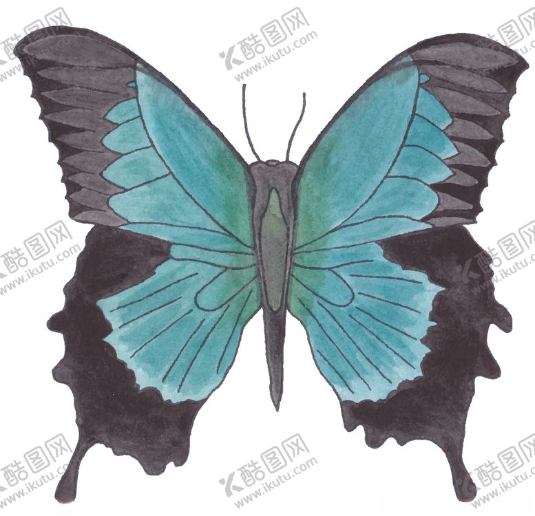 编号：26086509291317347633【酷图网】源文件下载-蝴蝶