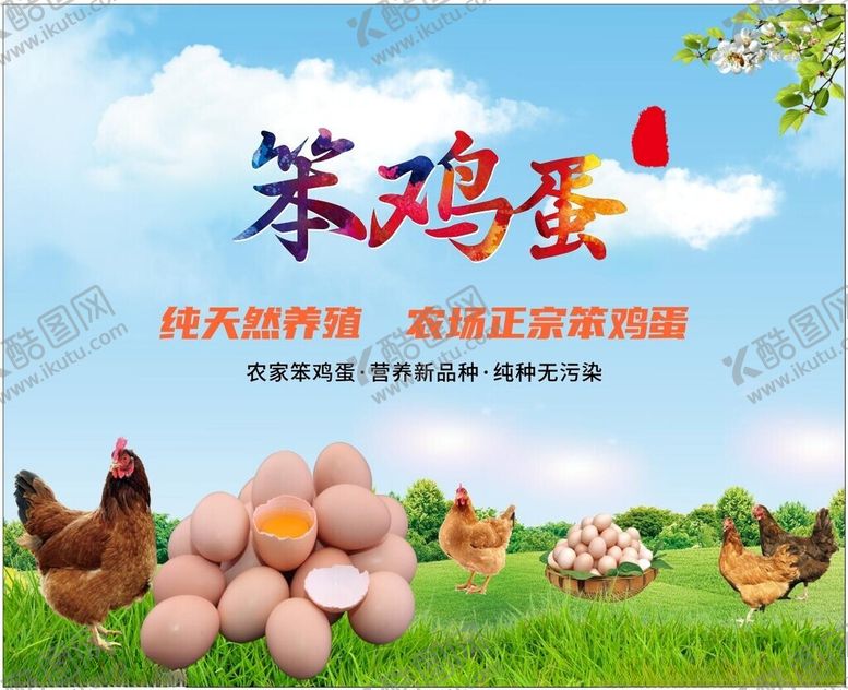 编号：26664802181133434113【酷图网】源文件下载-鸡蛋