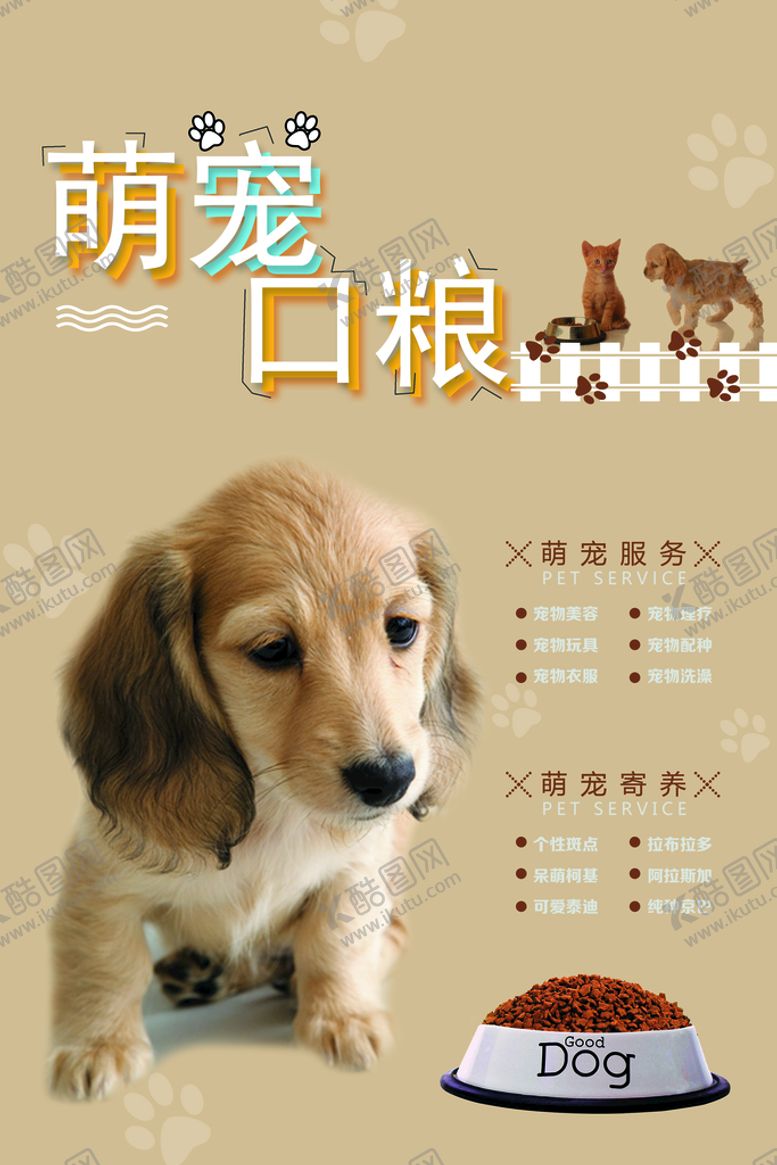 编号：06754110092332520764【酷图网】源文件下载-宠物海报