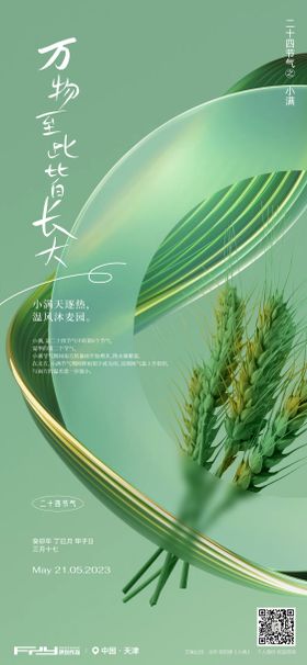 小满节气海报二十四质感创意简约