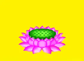 莲花