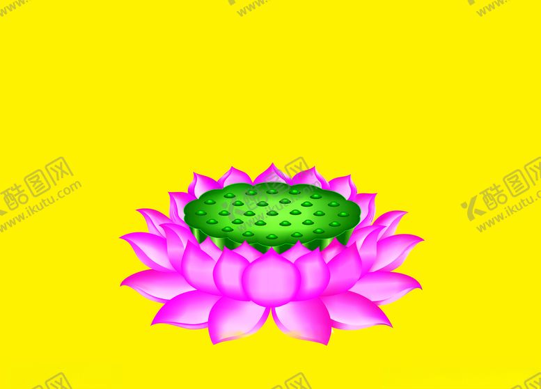 编号：56254705232359292367【酷图网】源文件下载-莲花