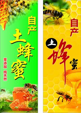 土蜂蜜包装设计展示