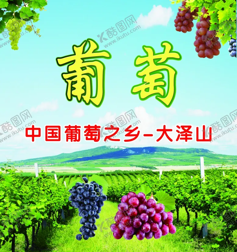 编号：87990406232122208897【酷图网】源文件下载-葡萄