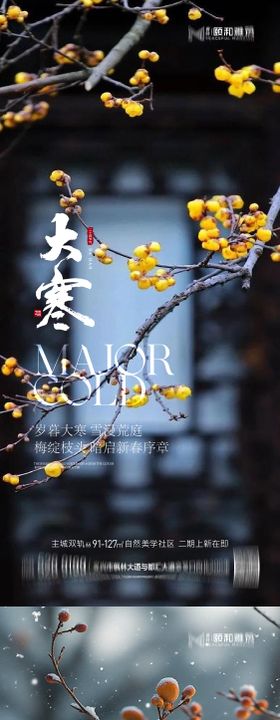大寒节气节日海报雪梅花腊梅
