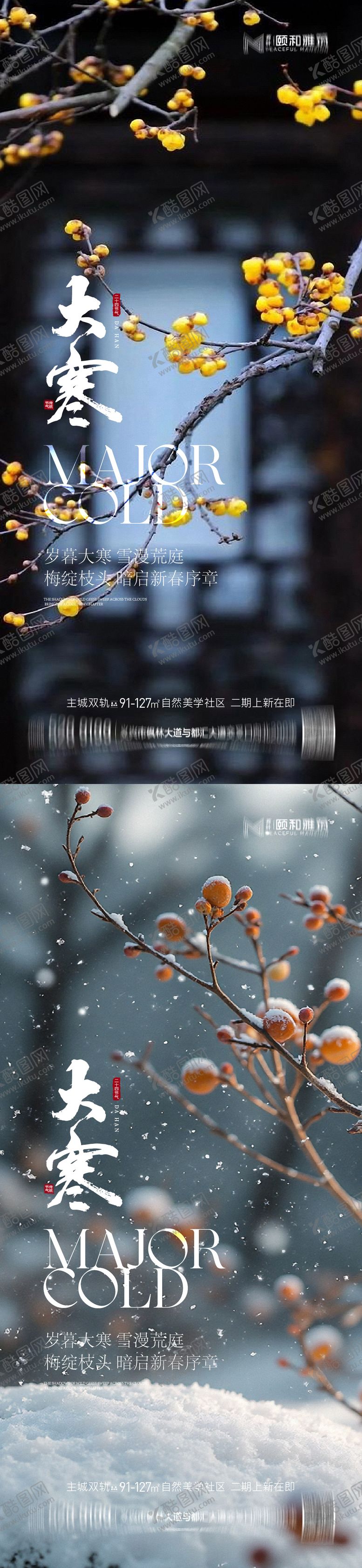 编号：32661301180201022865【酷图网】源文件下载-大寒节气节日海报雪梅花腊梅