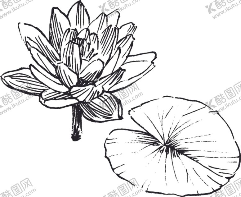 编号：48669509270011201738【酷图网】源文件下载-素描鲜花