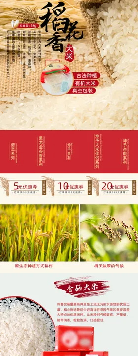 大米电商首页