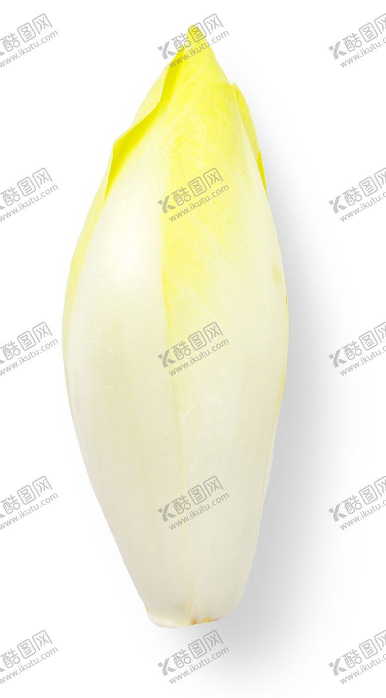 编号：53345004192142241115【酷图网】源文件下载-奶白菜