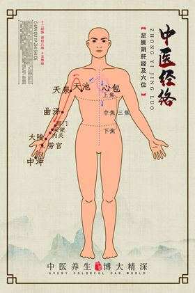 中医经络示意展板