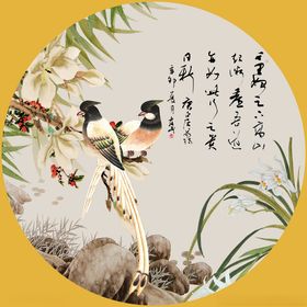 花鸟壁纸