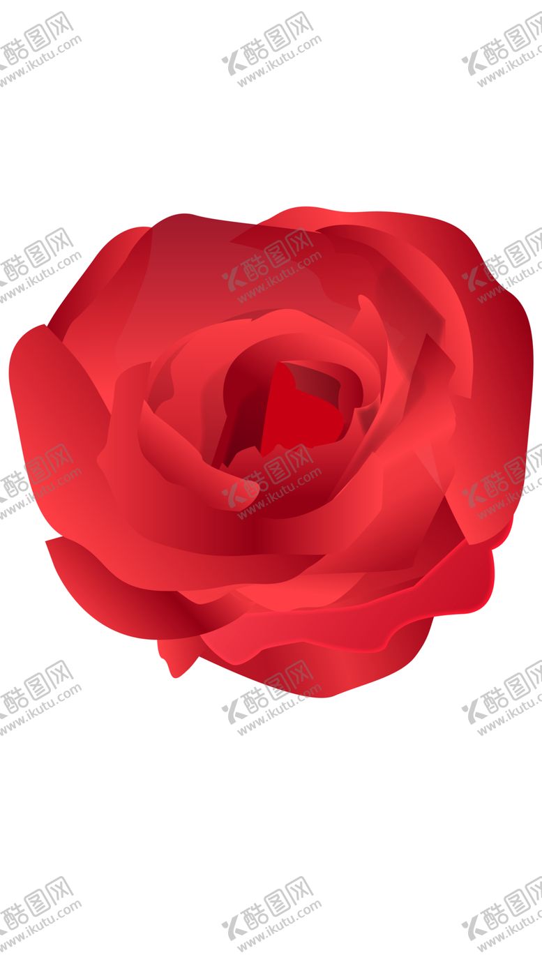 编号：71575907030212498793【酷图网】源文件下载-玫瑰花