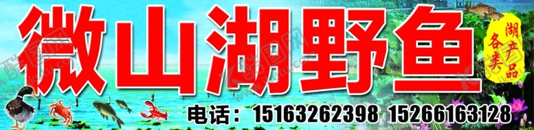 编号：11999710261834008911【酷图网】源文件下载-微山湖野鱼