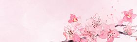 手绘桃花插画海报图片粉色樱中国风