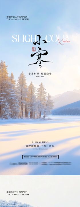 小寒小雪大雪海报