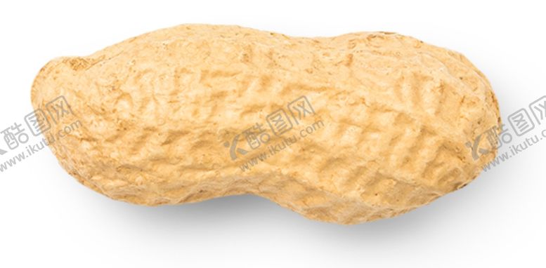 编号：61533409281746044351【酷图网】源文件下载-花生