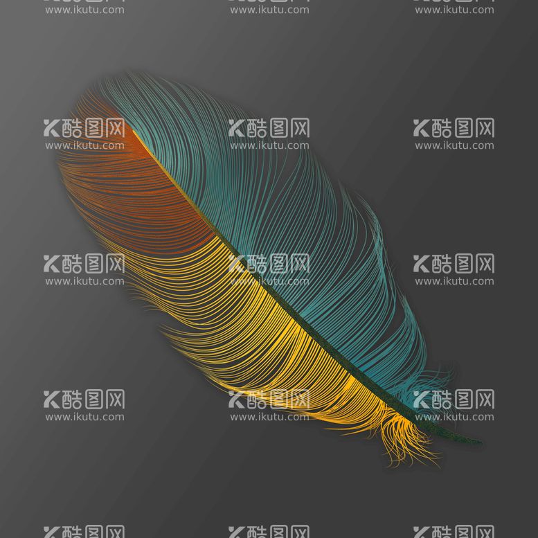 编号：47472711170849157003【酷图网】源文件下载-羽毛