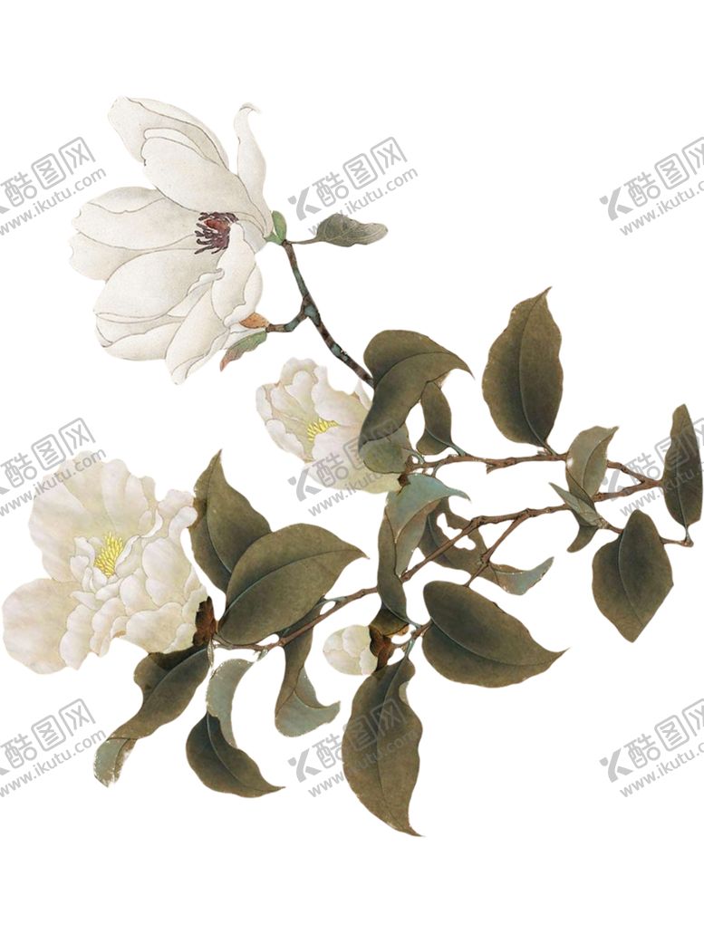 编号：63452210011633549999【酷图网】源文件下载-工笔手绘花