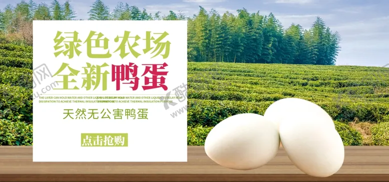 编号：64855006251730599270【酷图网】源文件下载-农场鸭蛋