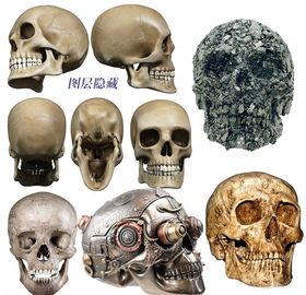 骷髅素材
