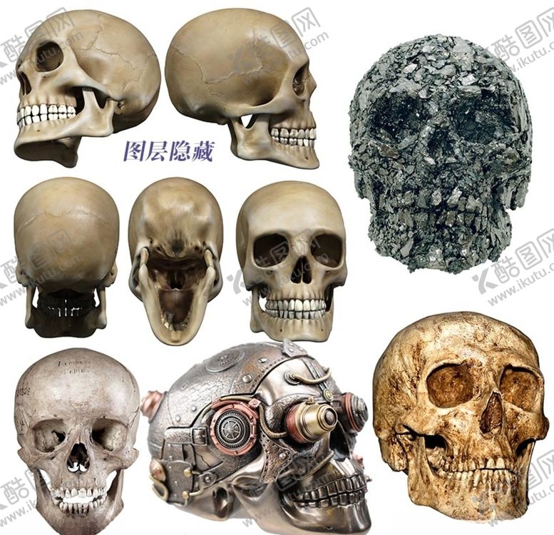 编号：96748710300415274783【酷图网】源文件下载-骷髅素材