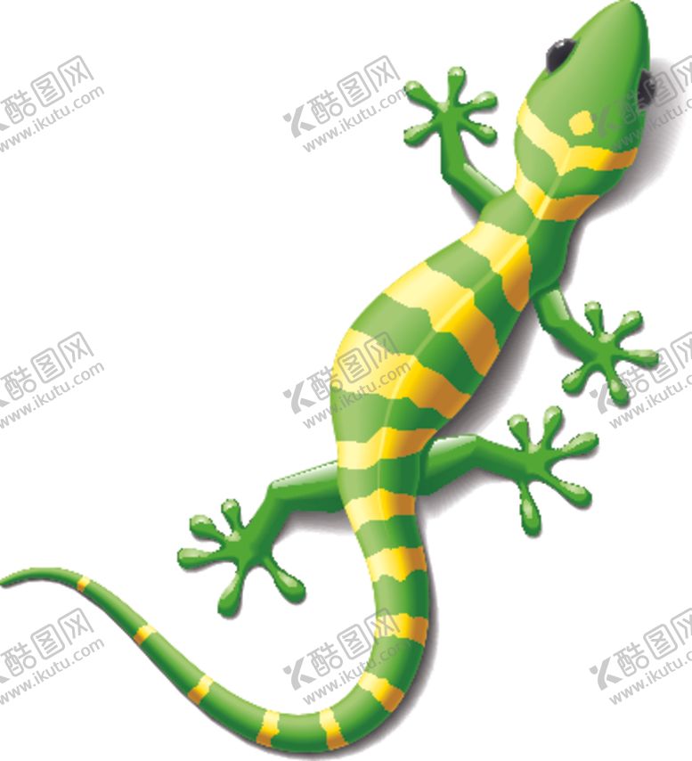 编号：84803509300052569380【酷图网】源文件下载-蜥蜴变色龙
