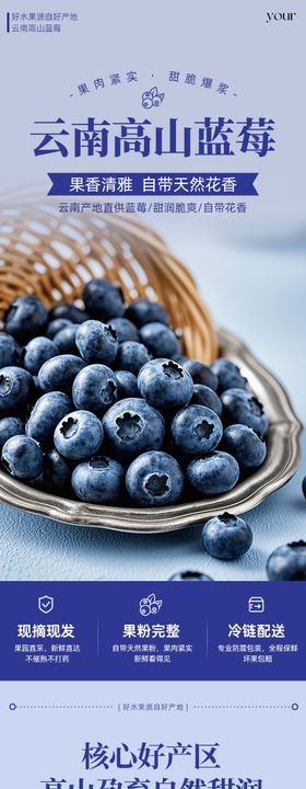 蓝莓详情页