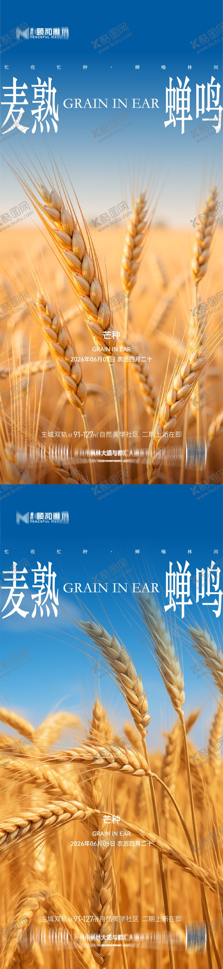 编号：93131405250135489446【酷图网】源文件下载-芒种二十四节气节日海报麦芒麦田