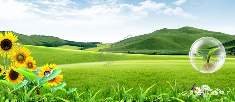 编号：51181909271026566924【酷图网】源文件下载-banner背景