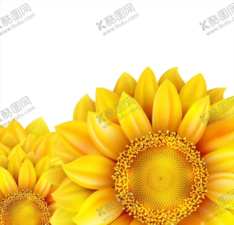 编号：22925806270747004023【酷图网】源文件下载-向日葵