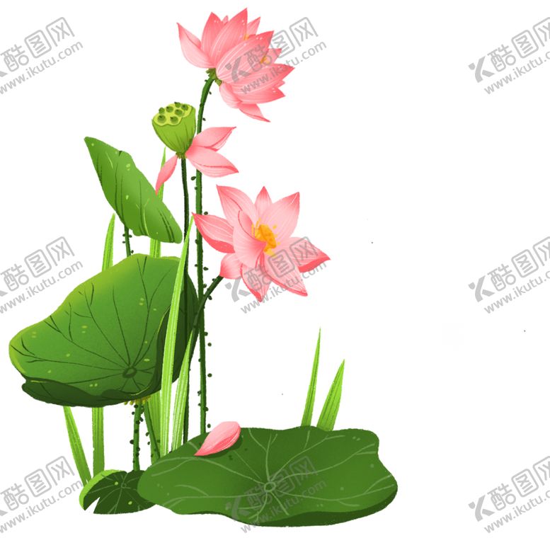 编号：23604504162354562794【酷图网】源文件下载-荷花元素