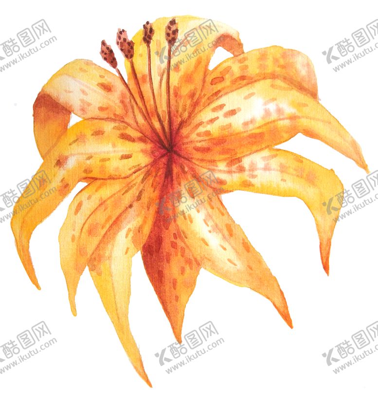 编号：25132806260001513975【酷图网】源文件下载-彩绘植物