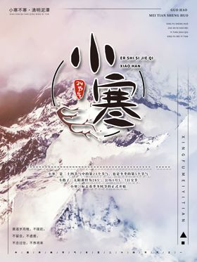 小寒雪山海报