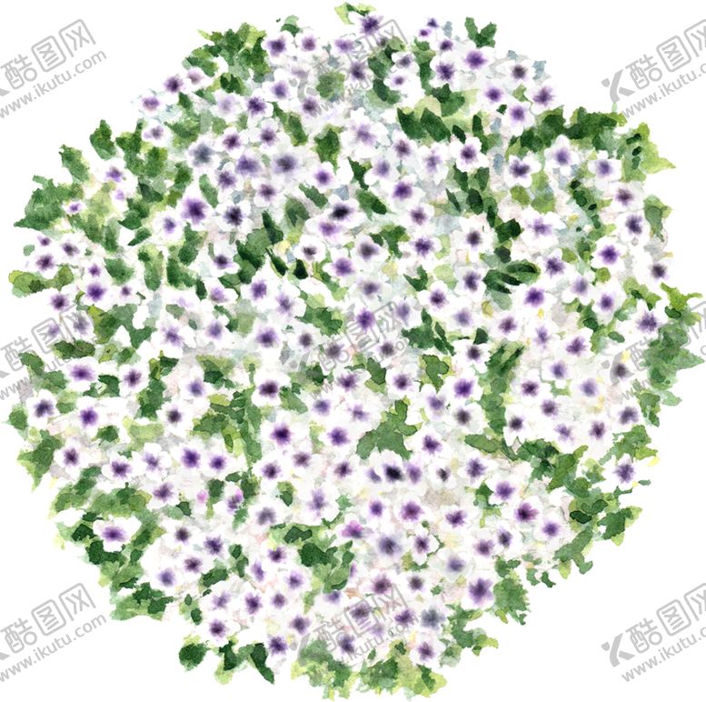 编号：23271705051835514447【酷图网】源文件下载-手绘植物