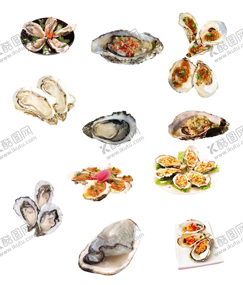 编号：22493202070425233606【酷图网】源文件下载-生蚝美食图片