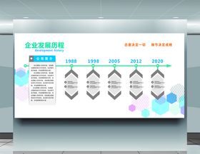 企业发展历程