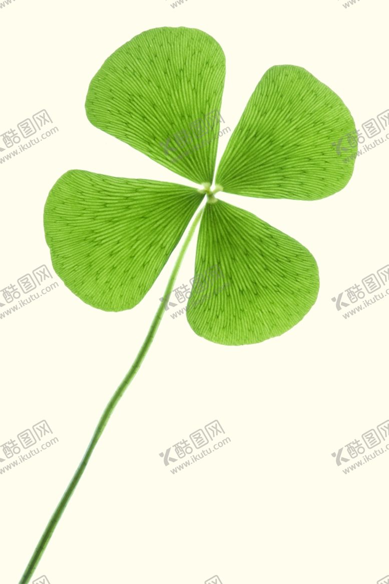 编号：22150909272111478162【酷图网】源文件下载-四叶草