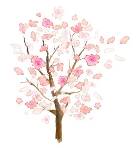 樱花装饰素材
