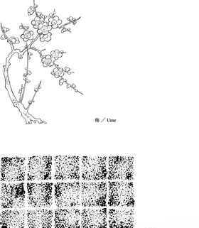 日本线描植物花卉矢量素材