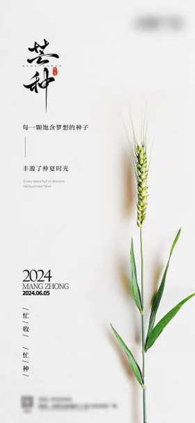 芒种海报