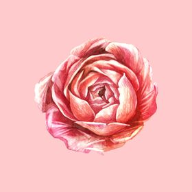 水彩植物画横幅树叶素材