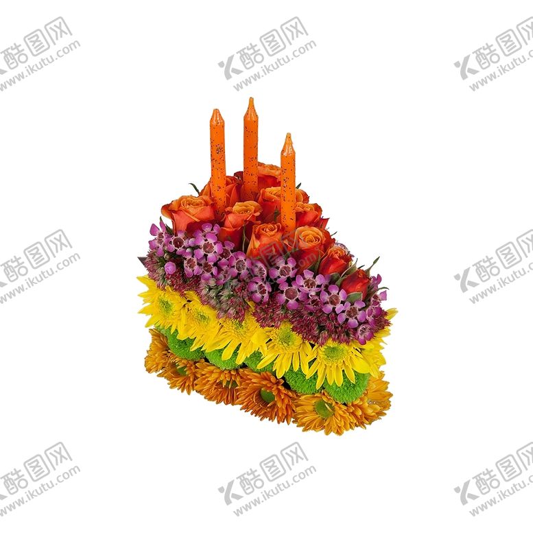 编号：87448201130853264334【酷图网】源文件下载-植物