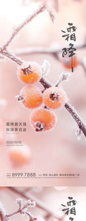 地产霜降节气海报