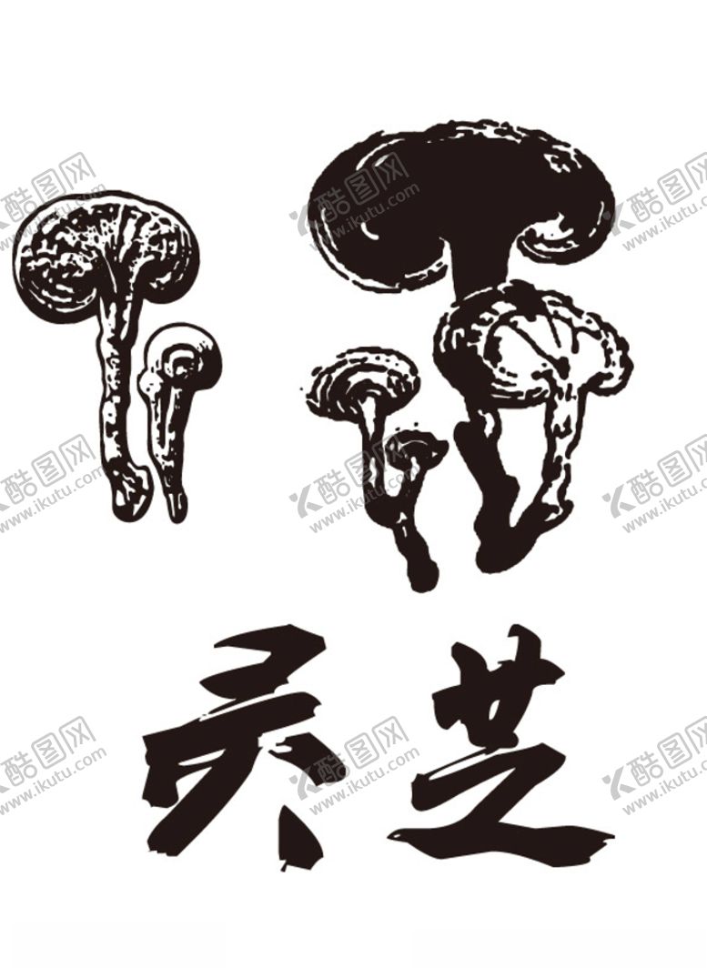 编号：29201803280249123016【酷图网】源文件下载-灵芝