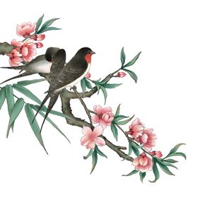 枝头喜鹊春季清新素材