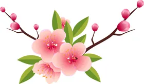 梅花桃花PNG腊工艺插画兰竹菊