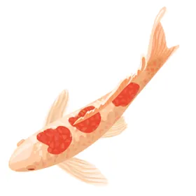 鲤鱼插画图案
