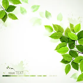 精美绿色烟花