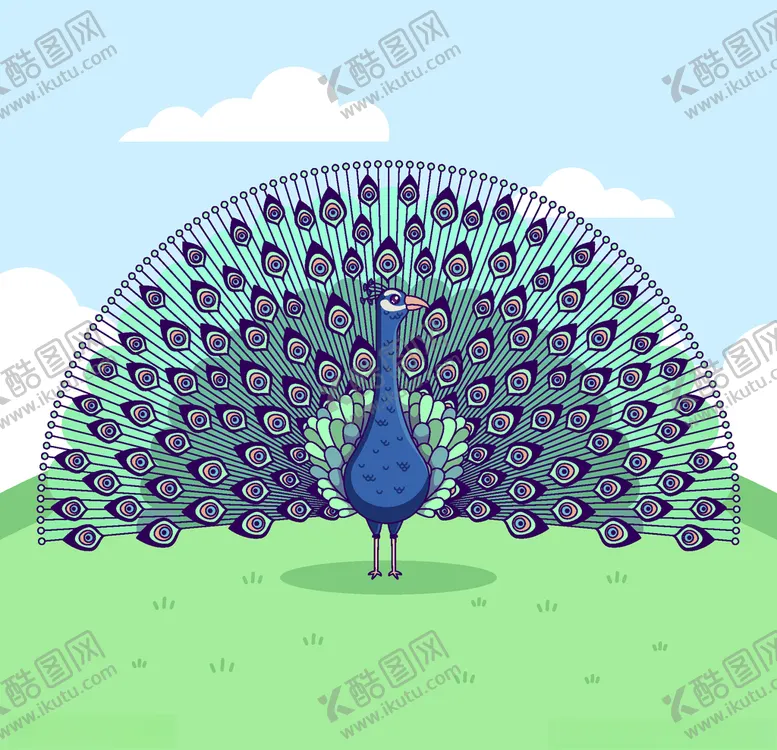 编号：13482906272321454277【酷图网】源文件下载-孔雀